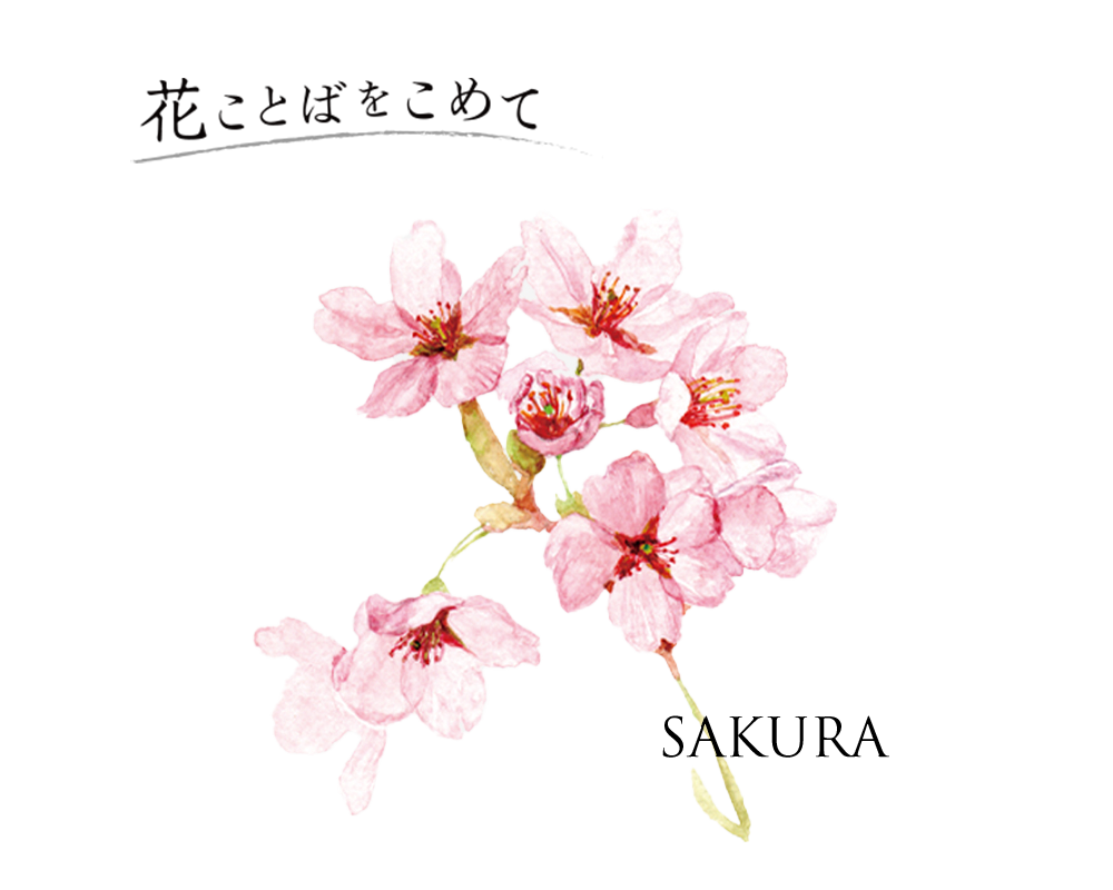 イタリア製 桜柄レザー「サクラ」キーケース
