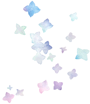 背景紫陽花1