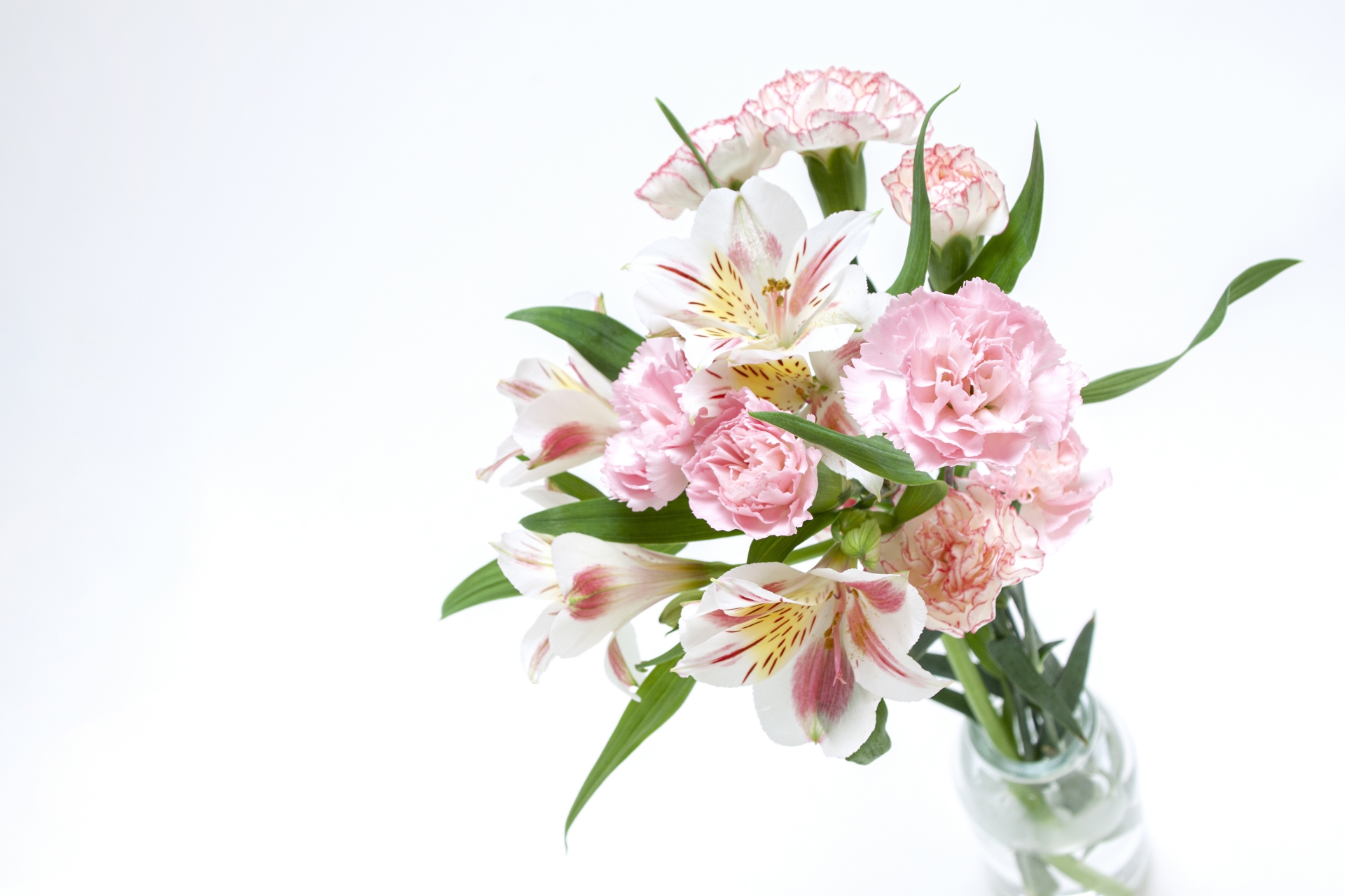 4月の誕生花「アルストロメリア」