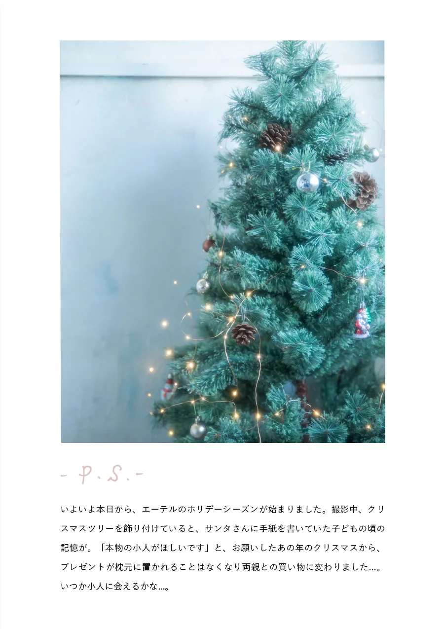 担当者の一言