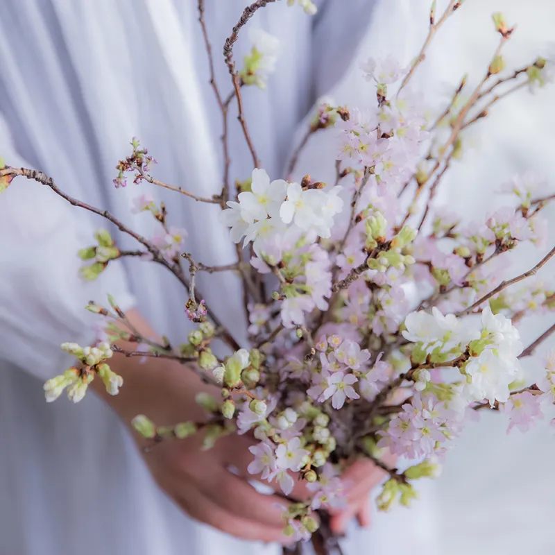 桜のようなひと 4月生まれはこんな人 レザーブランドaether