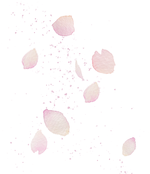背景サクラ1