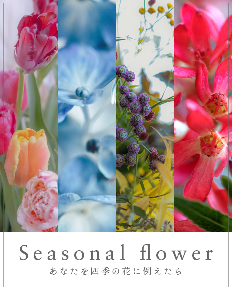 Seasonal Flower あなたを四季の花に例えたら